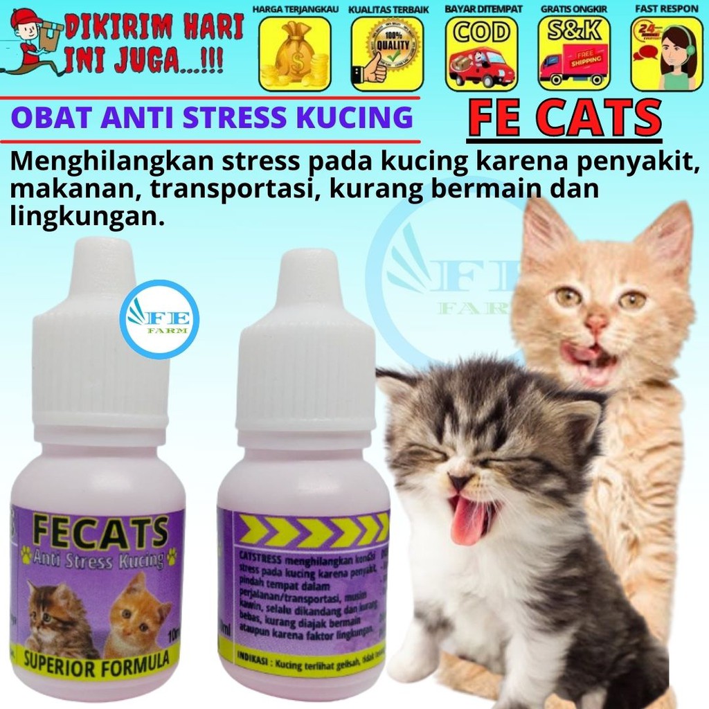 Vitamin ANTI STRESS Kucing Penambah Daya Tahan Nafsu Makan Cat FEFARM