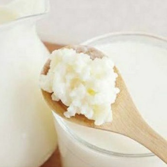 

kefir susu kambing organic 1000ml raw/no preservatives/probiotics