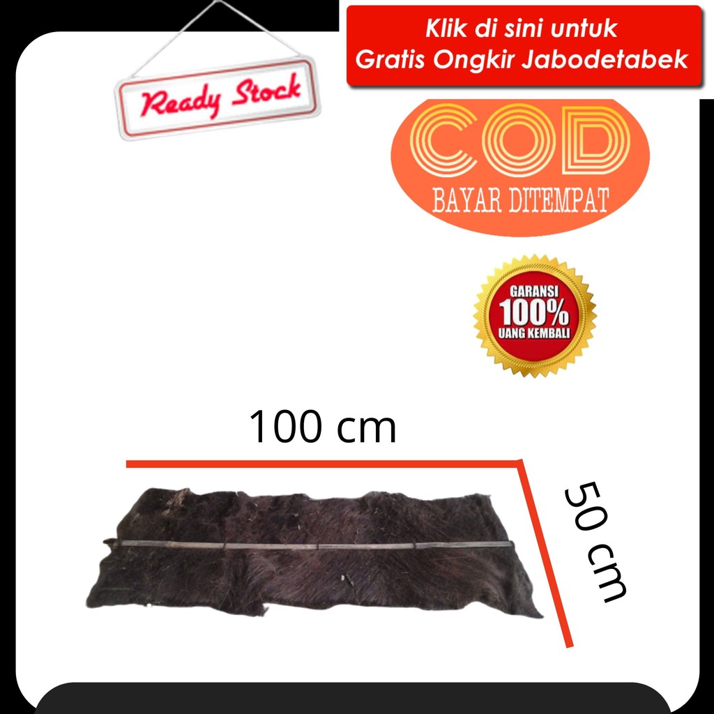 Jual ijuk kakaban (media telor ikan ) IJUK UNTUK KAKABAN IKAN TELOR TELUR IKANIjuk kakaban(pengemban