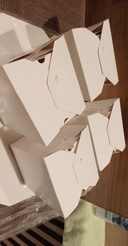 Paper Food Pail L/ Box Bento/ Rice Box L Putih Polos Laminasi @1pcs