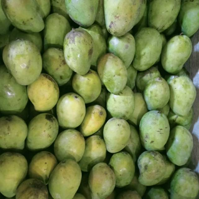 

Mangga Alpukat