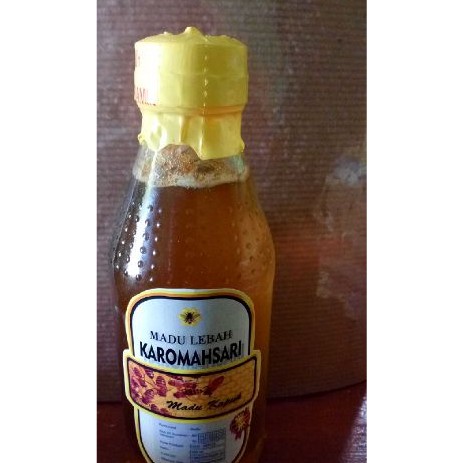 

Madu Alas Tawon Gung Hutan Pekalongan ukuran 150 ml
