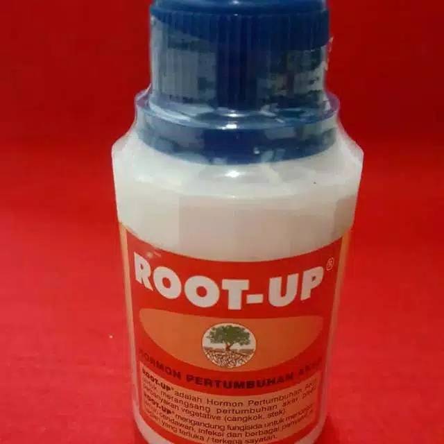 Hormon Perangsang Akar / Root-up / Pemacu akar / Obat akar