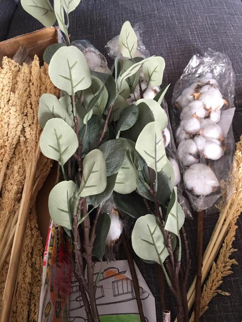 Euca. Eucalyptus Artificial