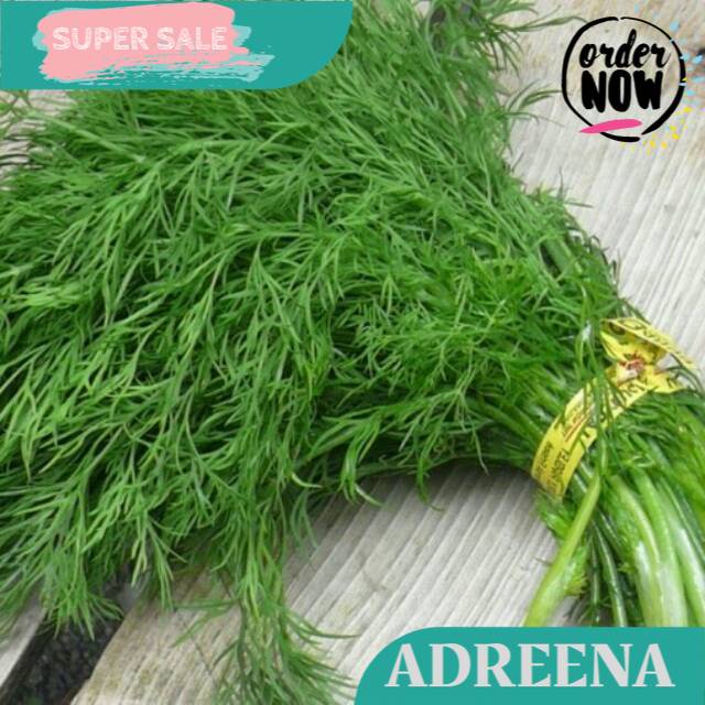 

DAUN DILL ADAS Adreena Freshbox