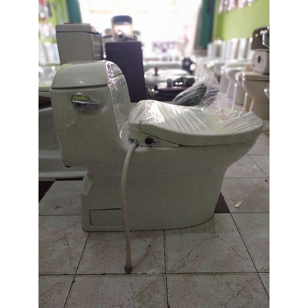 Closet duduk Toto cw 914j+ ecowaser