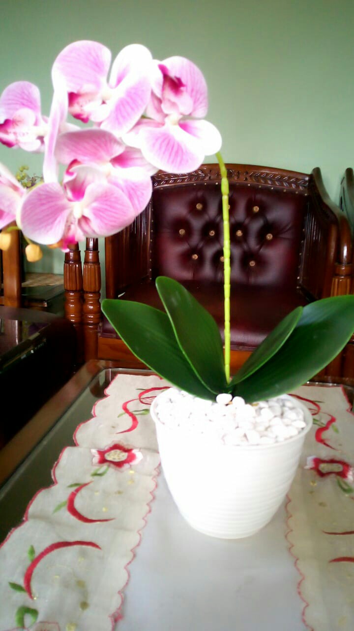 Anggrek Latex Bunga + Pot / Bunga Hias Meja / Bunga Artificial / Home Decor / Bunga Plastik / Shabby