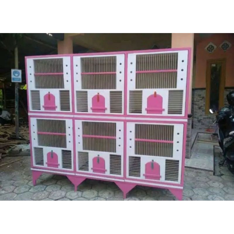 kandang merpati kandang burung dara kandang macan isi 6 pintu kayu jati fiber