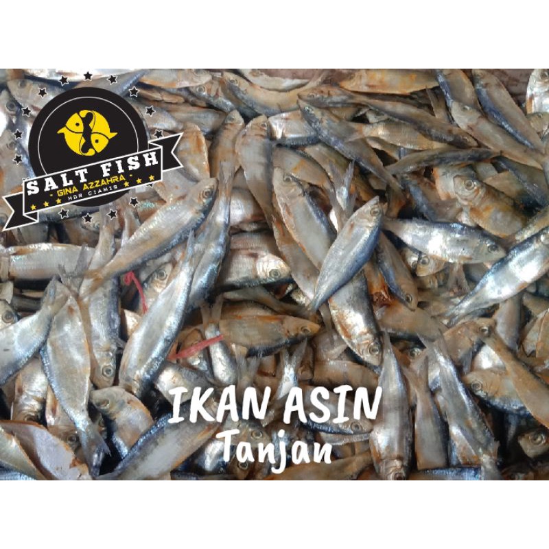 

Ikan Asin Tembang / Tanjan Fresh (500 Gram)