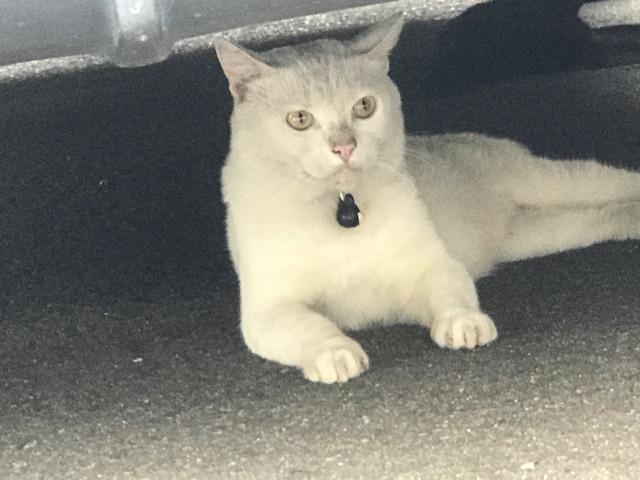 Packaging Transparant Doff Uk 18 X 26 / Non Standing / Baju / Ziplock / Minimum Order 100 Pcs