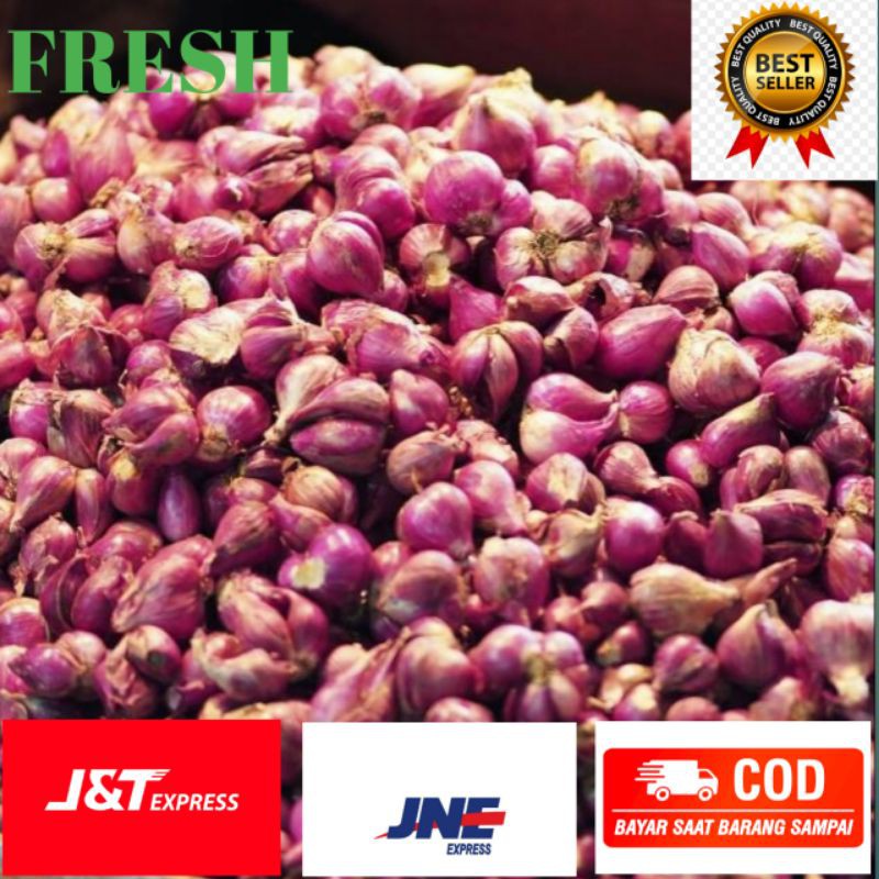 

bawang merah segar