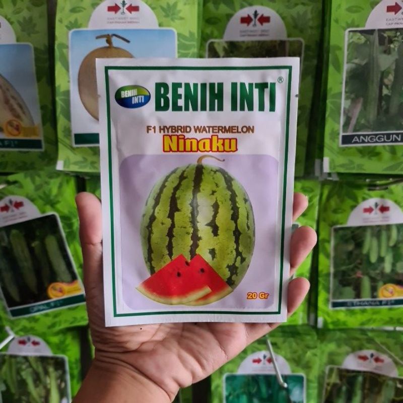 Benih Semangka NINAKU 20gr