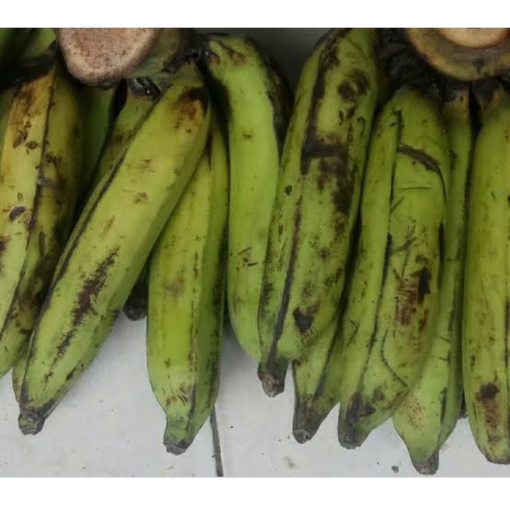 

Pisang Nangka 1 Kg Khusus Bandung