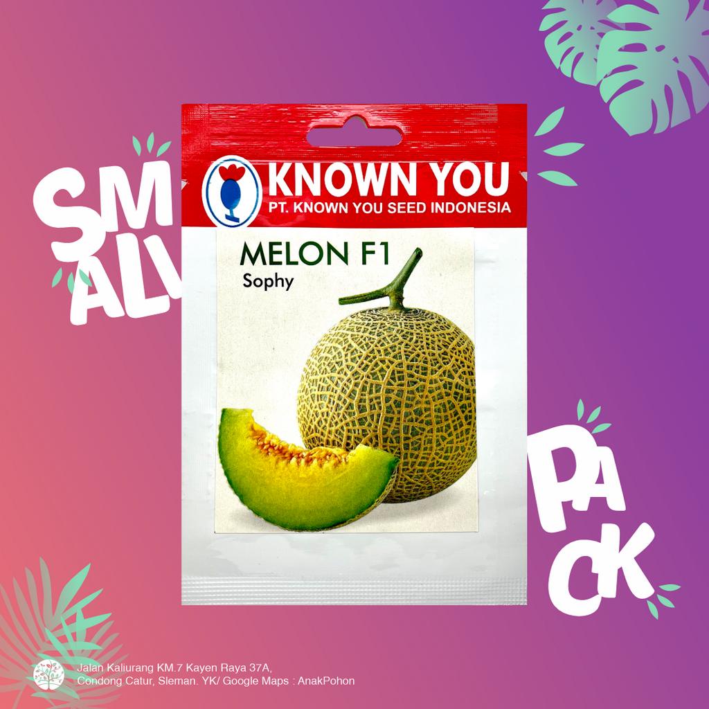 (1 PACK) Benih Melon Sophy 1899 F1 Hybrid Seeds - Known You Seed KYS - 7 SEEDS - Cocok Untuk Hidroponik