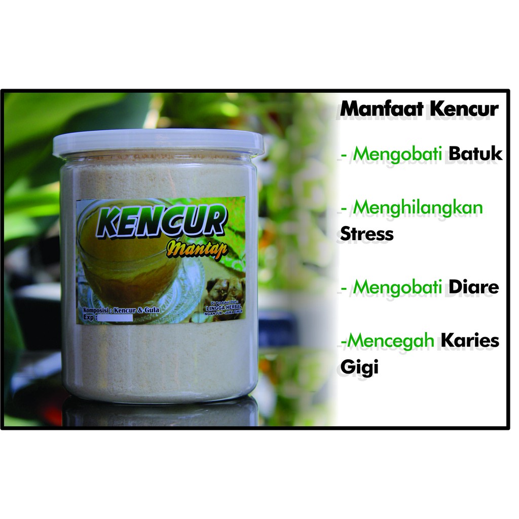 

Kencur bubuk/serbuk 500gr