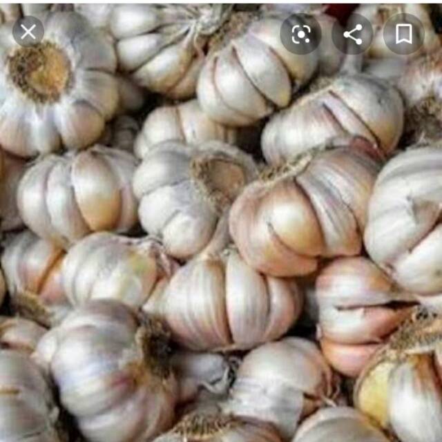 

bawang putih