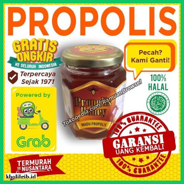 

MADU-MINUMAN- MADU PROPOLIS PRAMUKA 300 GRAM -ASLI-BUKAN-KAWE-KAWE-