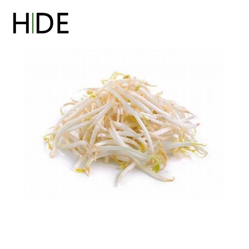 

( Hide ) Sayuran Segar - Tauge / Toge 250gr