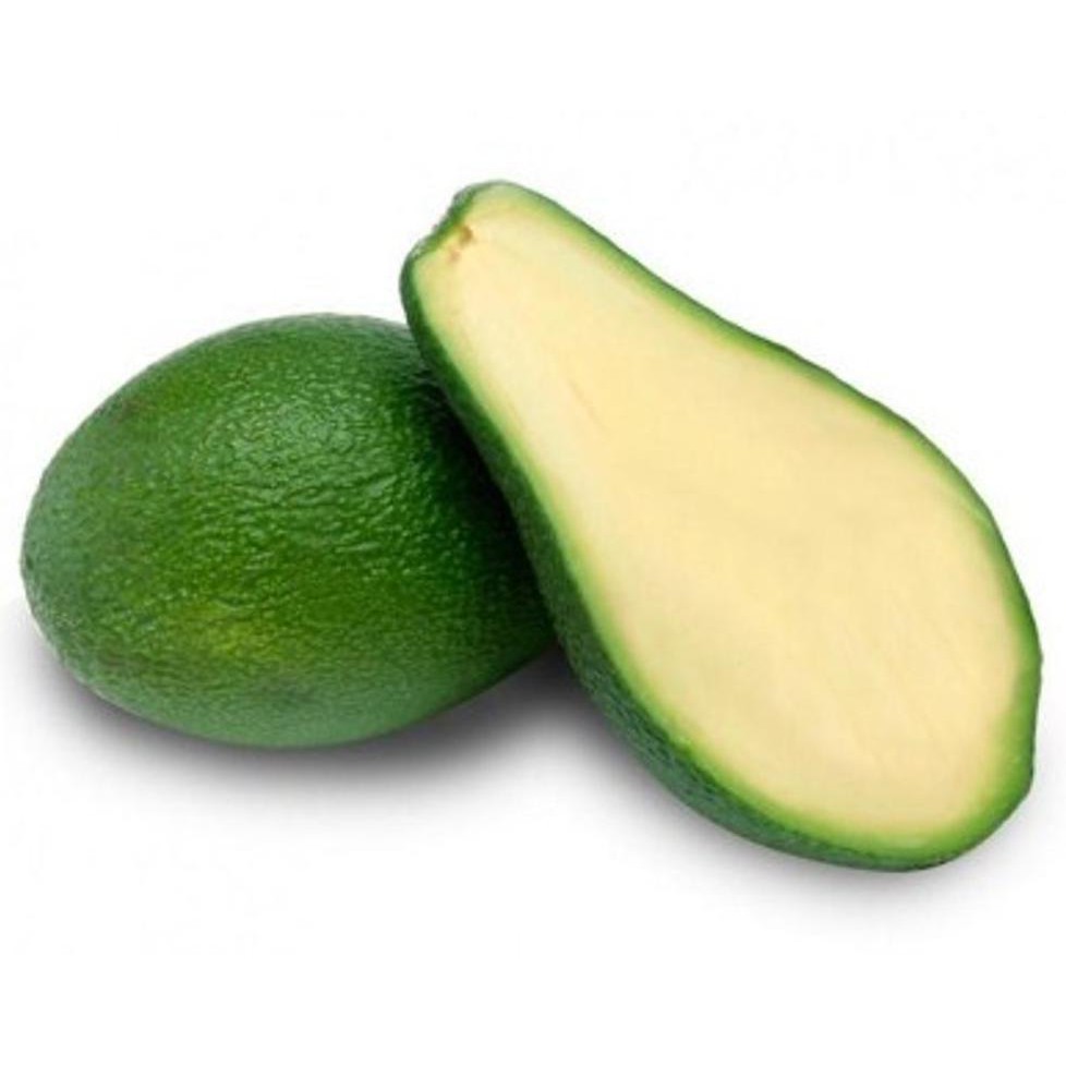 *_* BIBIT BUAH ALPUKAT TANPA BIJI @_$