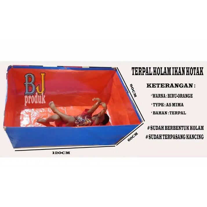 Terpal kolam ikan lele 120x80x60 A5 korea original kualitas sedang cocok buat ternak ikan hias lele