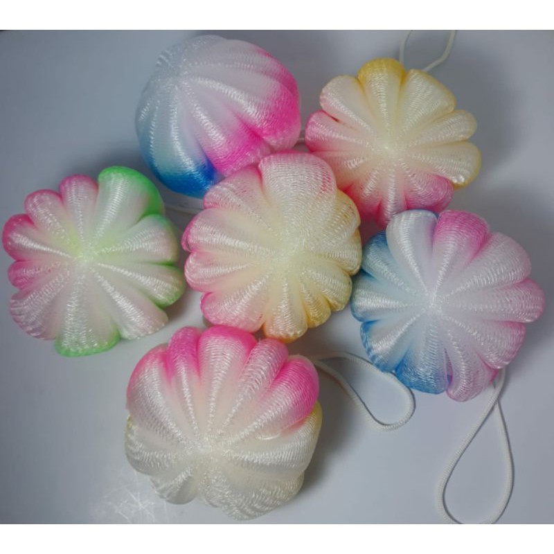 6pcs SPON MANDI LABU GROSIR