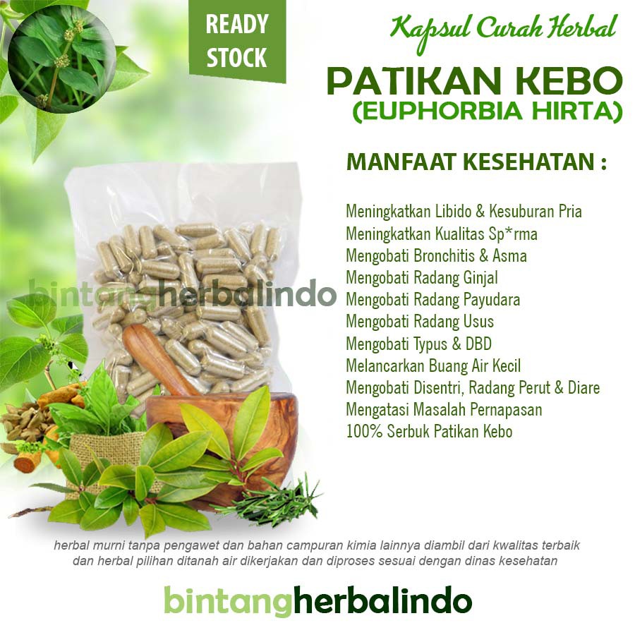 

PATIKAN KEBO Kapsul Curah Herbal 200X600mg Kesuburan Pria Eksim Flu Radang