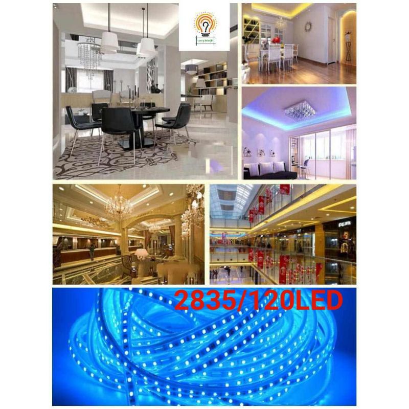 Lampu LED Strip Selang 2835/120LED 220V Per Meter 120Mata LED Water Proof