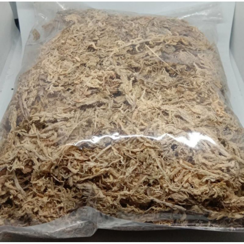 

moss chille kondisi fresh 100gram