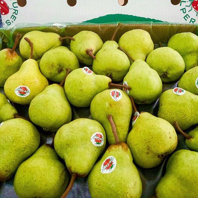 

FRESH PACKHAM PEAR - PERKILO