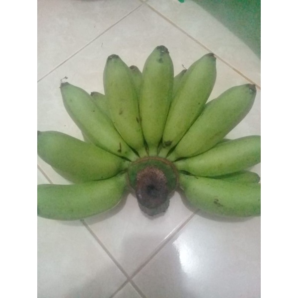 

Pisang Batu