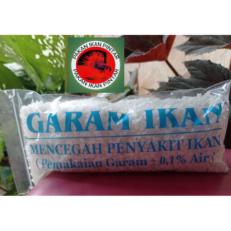 

garam ikan