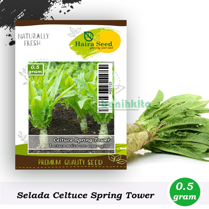 Benih-Bibit Selada Wangi Batang Besar Celtuce Spring Tower (Haira Seed