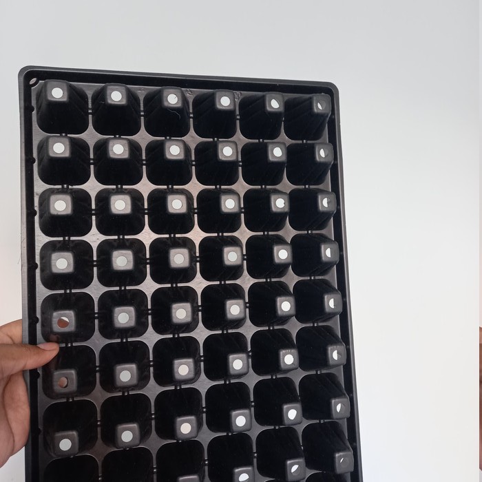 Tray Semai 72 Lubang (Pot Tray / Pottray / Pot Semai)