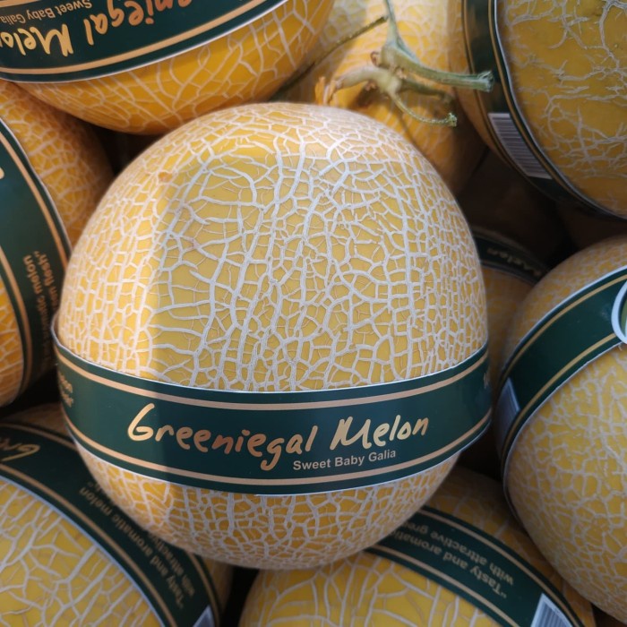 

Melon Greeniegal 100% Hydroponic -+ 1.7 kg