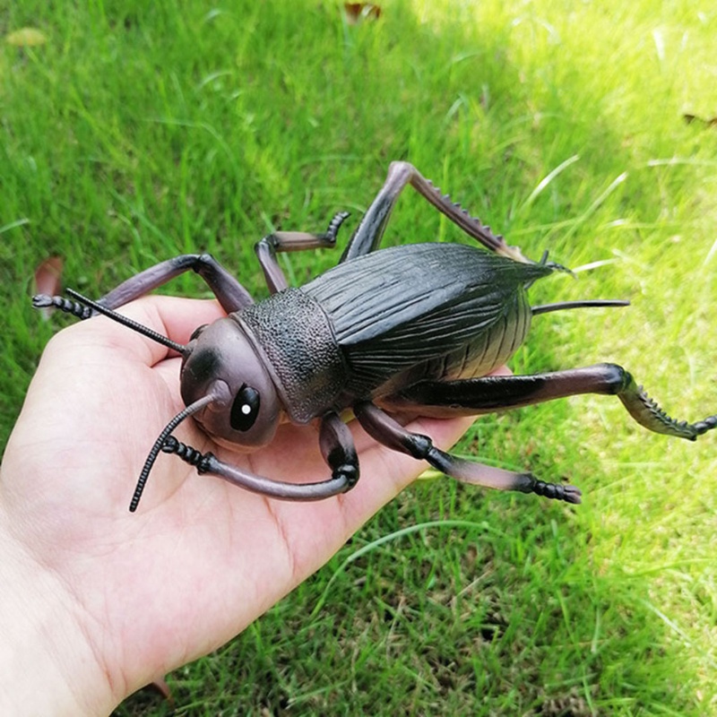 Mary Simulasi Model Satwa Liar Ornamen Merayap Manusia Hidup Palsu Realistis Spider Cricket