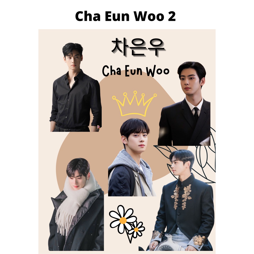 Sticker Drama Korea Sticker Kpop Sticker Laptop Sticker Cha Eun Woo Murah Aesthetic Lucu