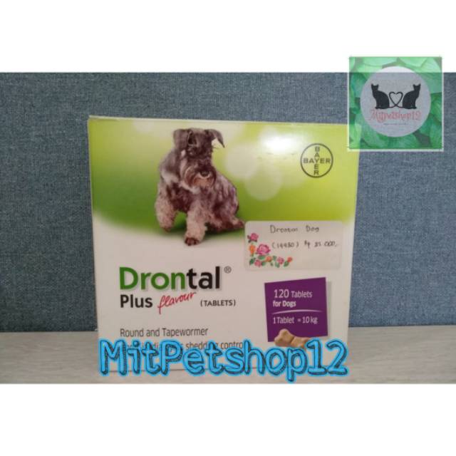 Drontal dog / drontal plus / drontal plus flavour / obat cacing anjing / obat cacing
