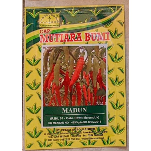 Bibit Cabai Rawit Unggul MADUN