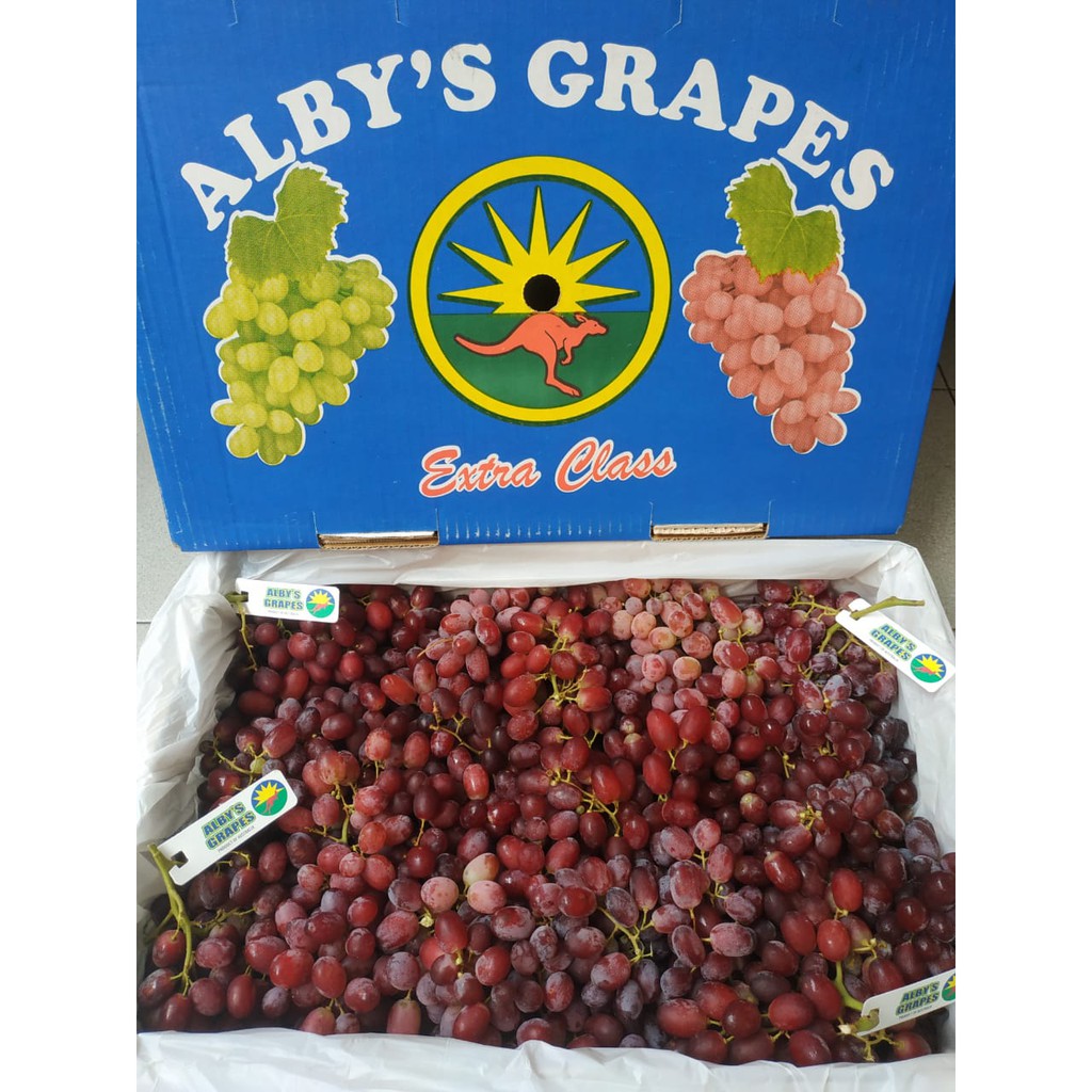 

Anggur Crimson Alby's Aus 1 Dus (9 KG) Fresh Import