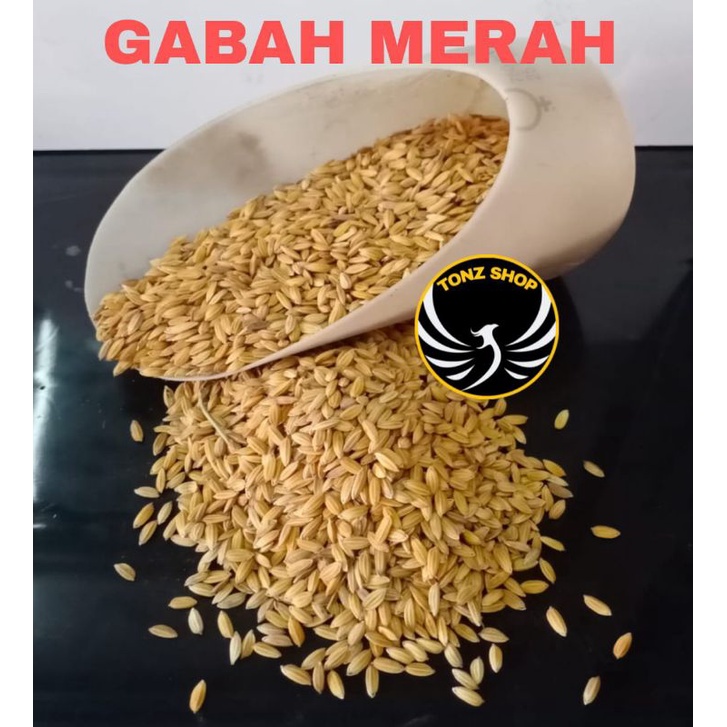 GABAH MERAH/PADI PAKAN MAKANAN AYAM,BEBEK UNGGAS,BURUNG DLL REPACK 1KG