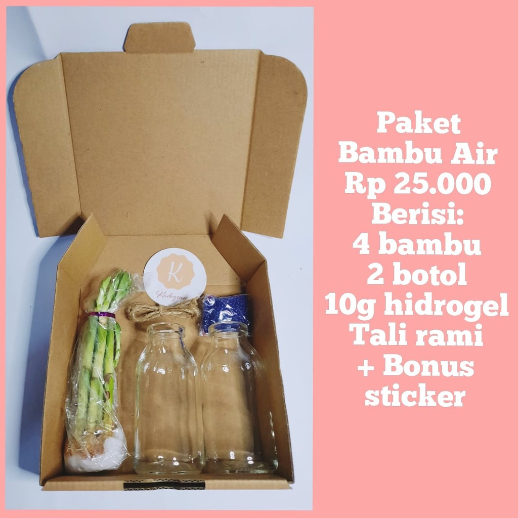 Paket Kado Bambu Air Bambu Hoki Bambu Cina