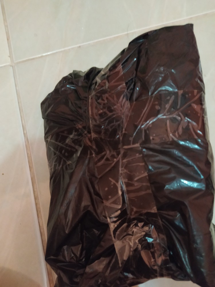 Pisau Buah/pisai Sayur/pisau Sarung