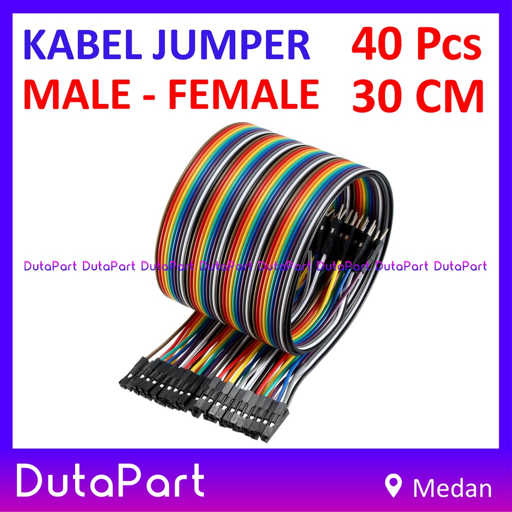 40Pcs Kabel Jumper 30cm MALE to FEMALE Dupont Cable Wire Pelangi