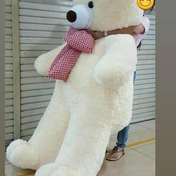 teddy bear 2 meter