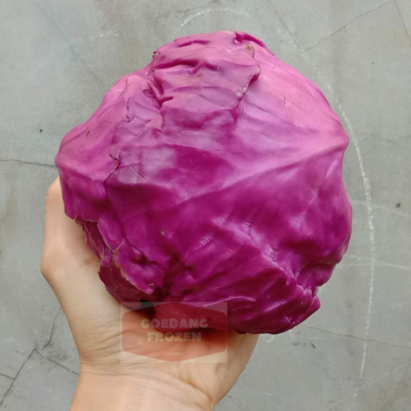 

Sayur Kol Ungu 500gr