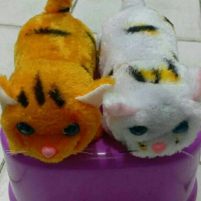 Mainan kucing bisa berjalan dan bersuara