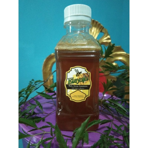 

Madu Trigona / Klanceng ELSYAFA