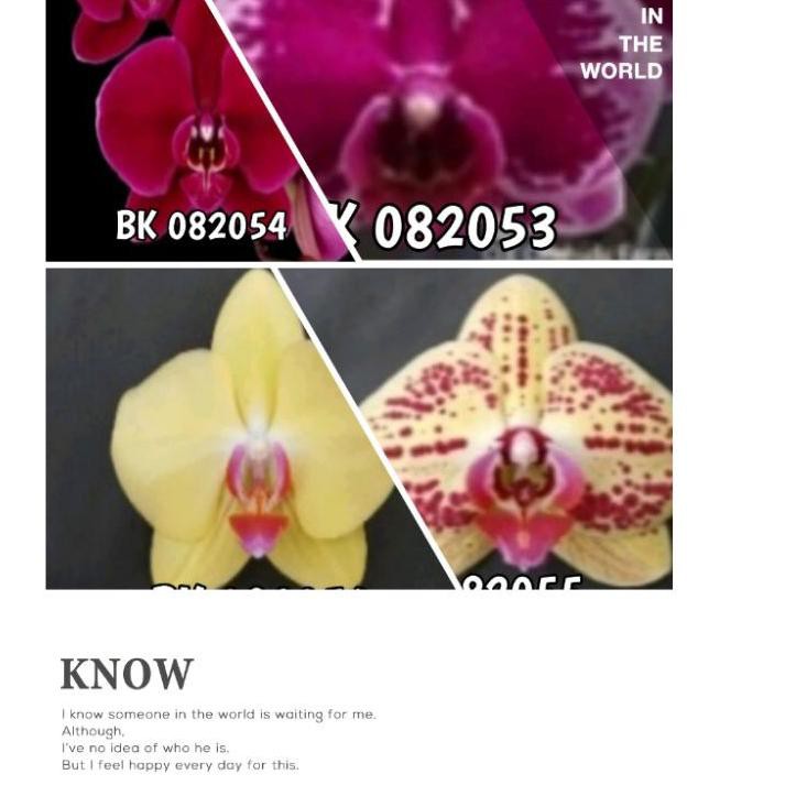 

Today!!!! taiwanasli