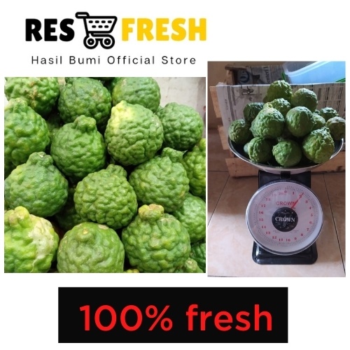 

Buah Jeruk Purut Fresh 1KG (isi -/+ 16-20 buah)