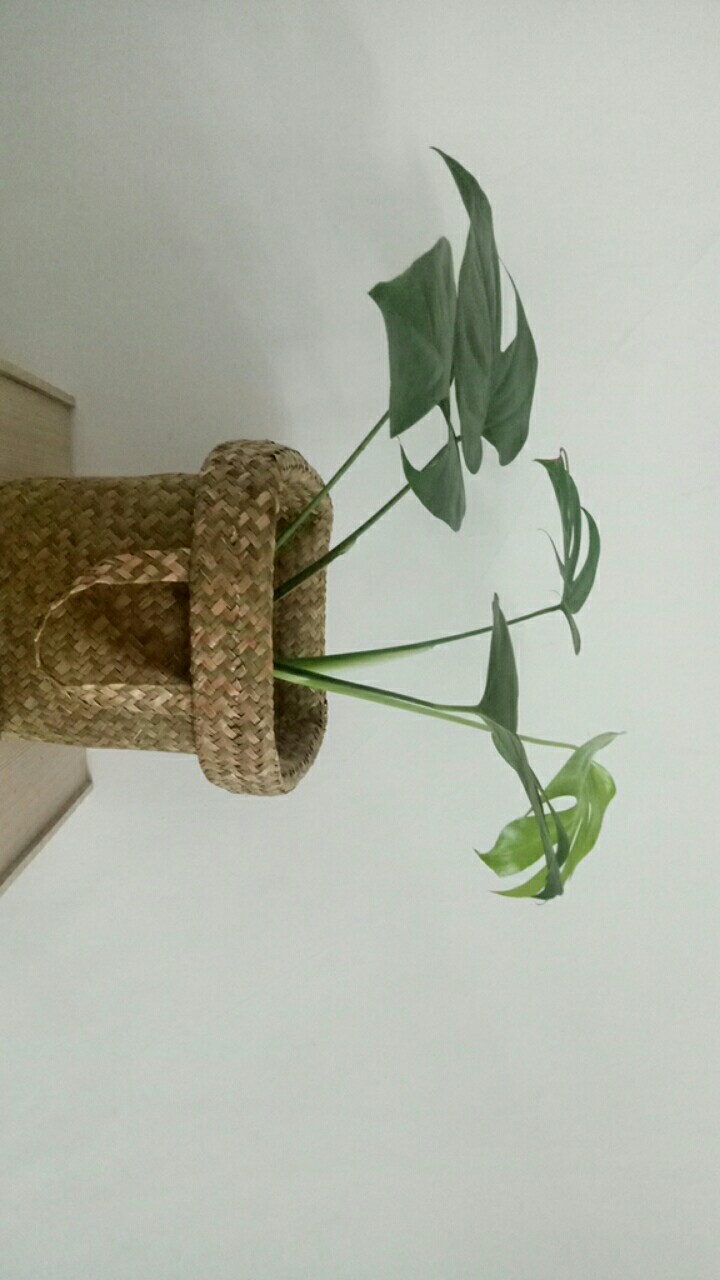 Set Bakul Purun, Hampers, Tas Belanja